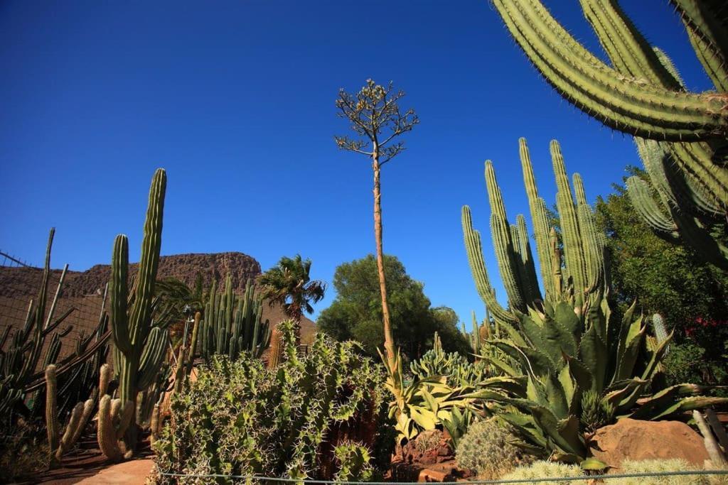 Precioso alojamiento con jardín Maspalomas  Exterior foto